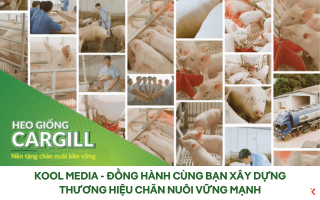 Kool MEDIA - Đồng hành cùng bạn xây dựng thương hiệu chăn nuôi vững mạnh