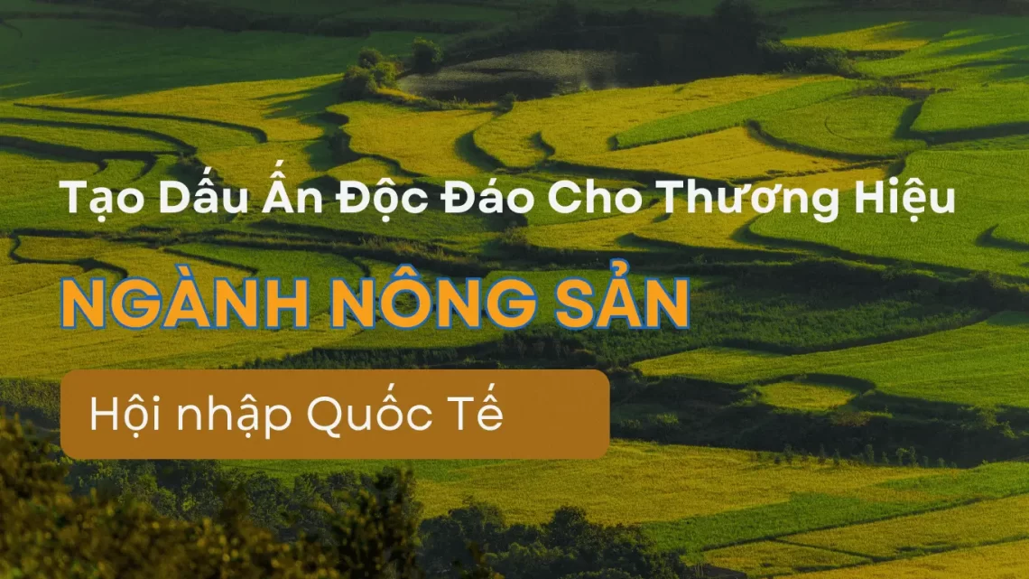 Dịch vụ quay phim giới thiệu doanh nghiệp nông sản chuyên nghiệp