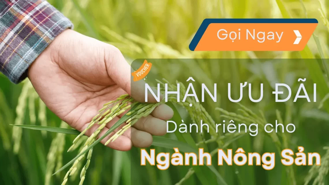 Nhận Ưu Đãi Cho Dịch Vụ Quay Phim Giới Thiệu Doanh Nghiệp Nông Sản Chuyên Nghiệp Truyền Tải Giá Trị Và Thông Điệp Hiệu Quả