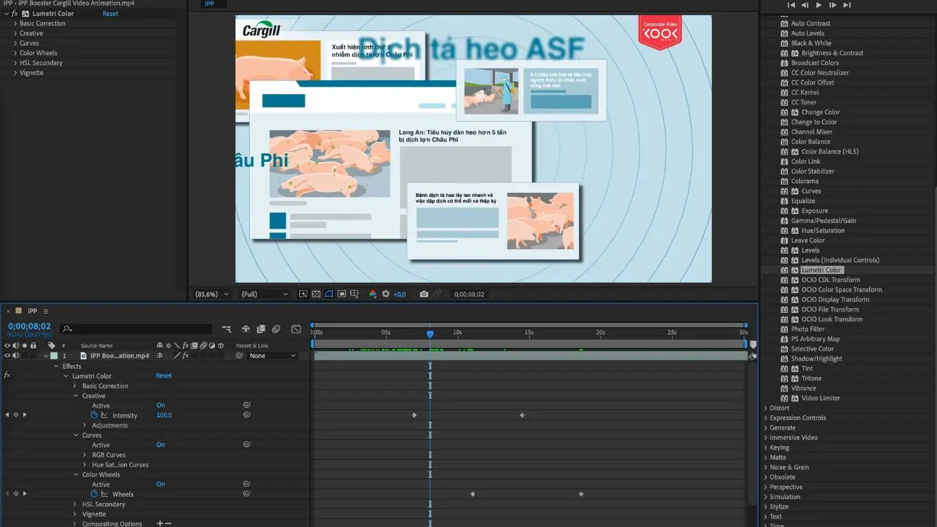 Hậu trường sản xuất video animation Cargill tại Kool Media