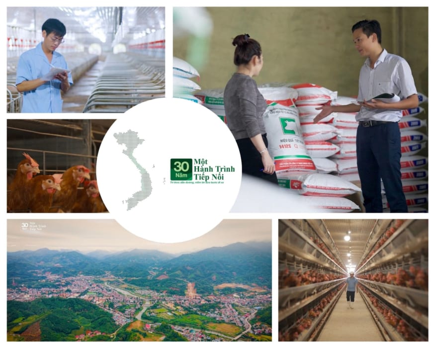 Video testimonials Cargill Việt Nam – Câu chuyện thành công người nông dân