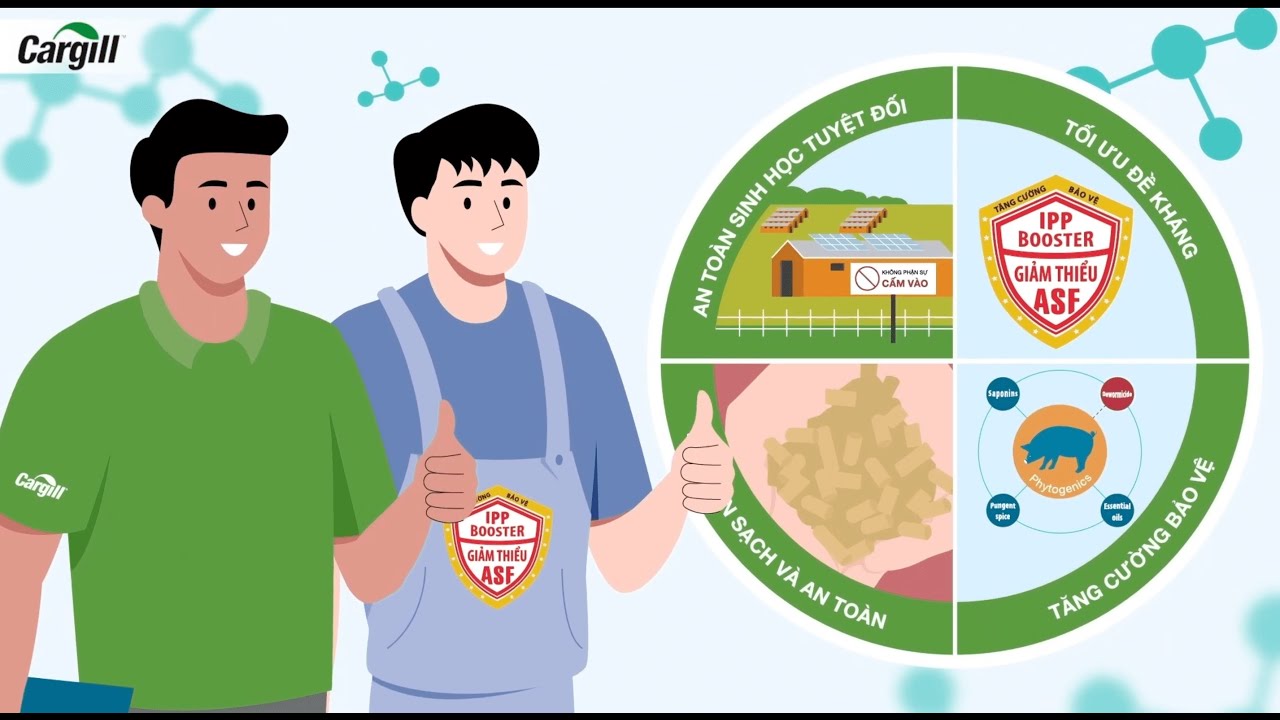 Video 2D Animation Bộ Giải Pháp IPP Booster - Cargill
